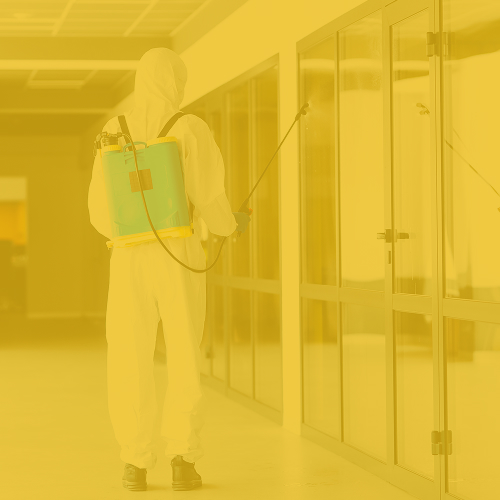 Commercial Pest Control